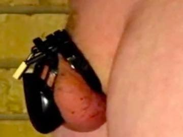 Chastity Webcam